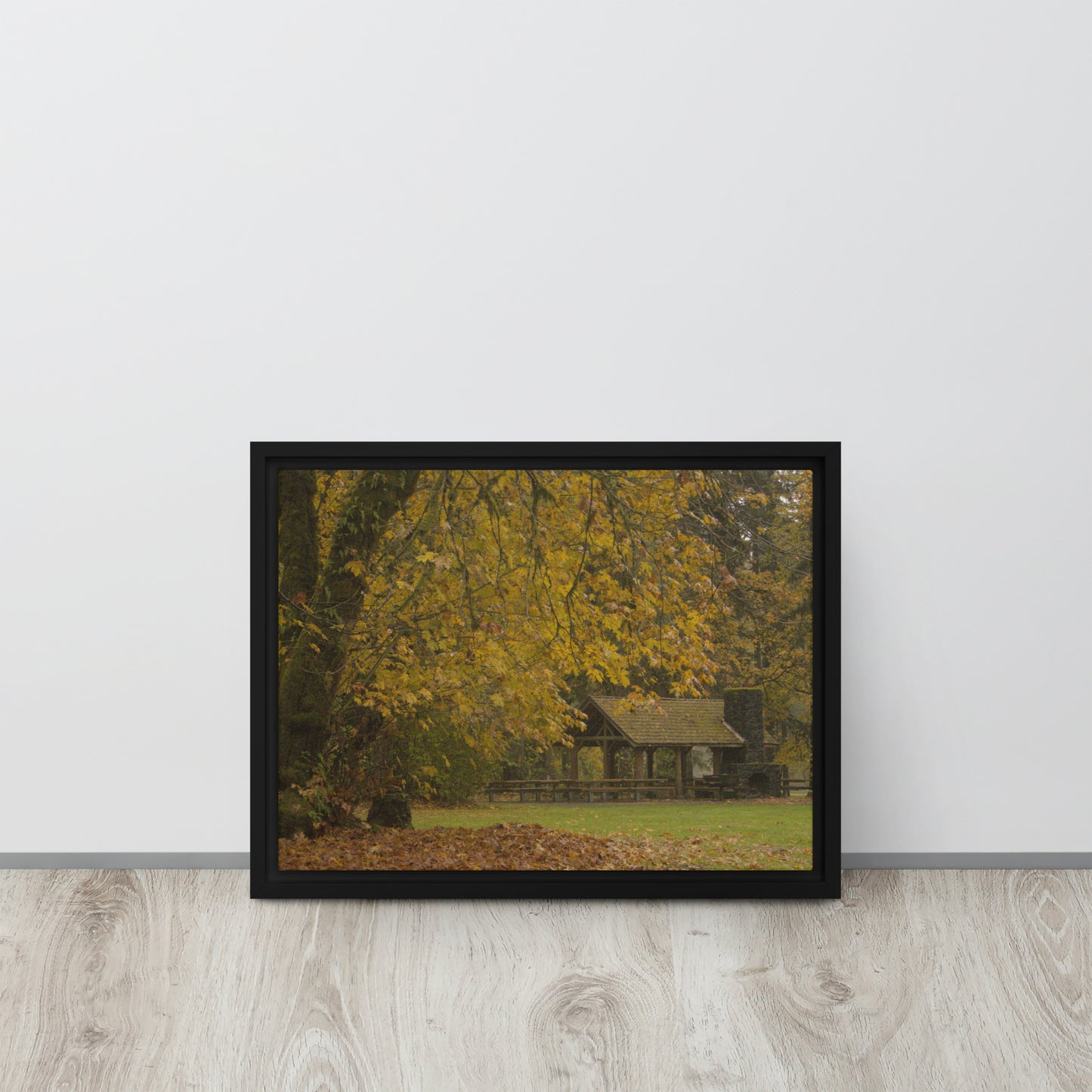 Autumn Maple