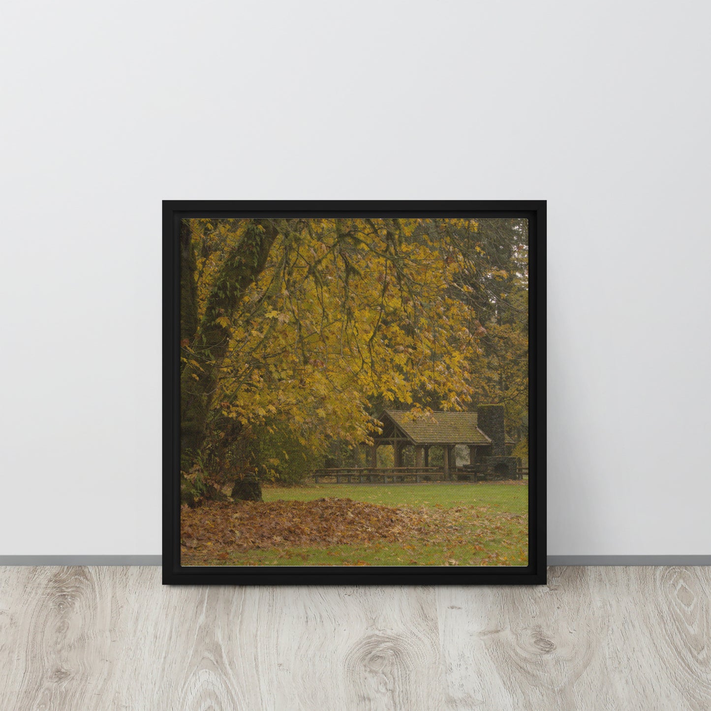 Autumn Maple