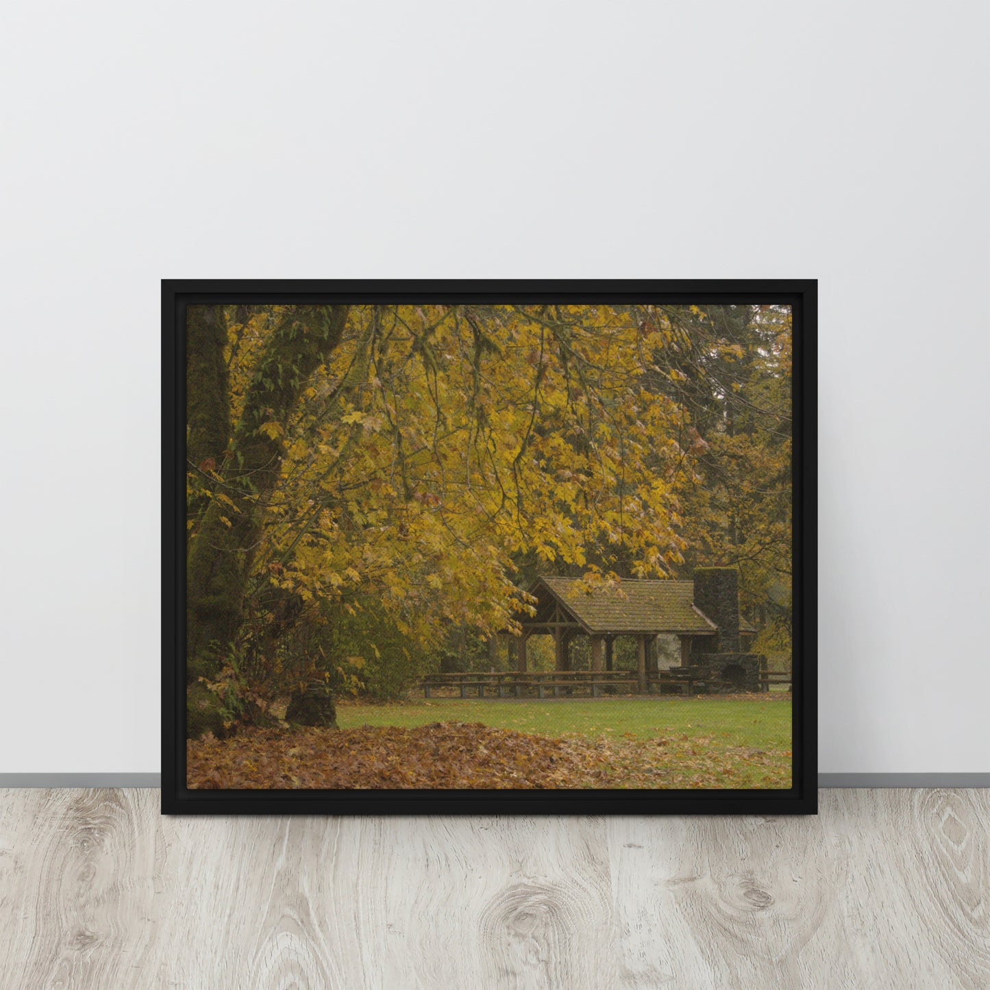 Autumn Maple