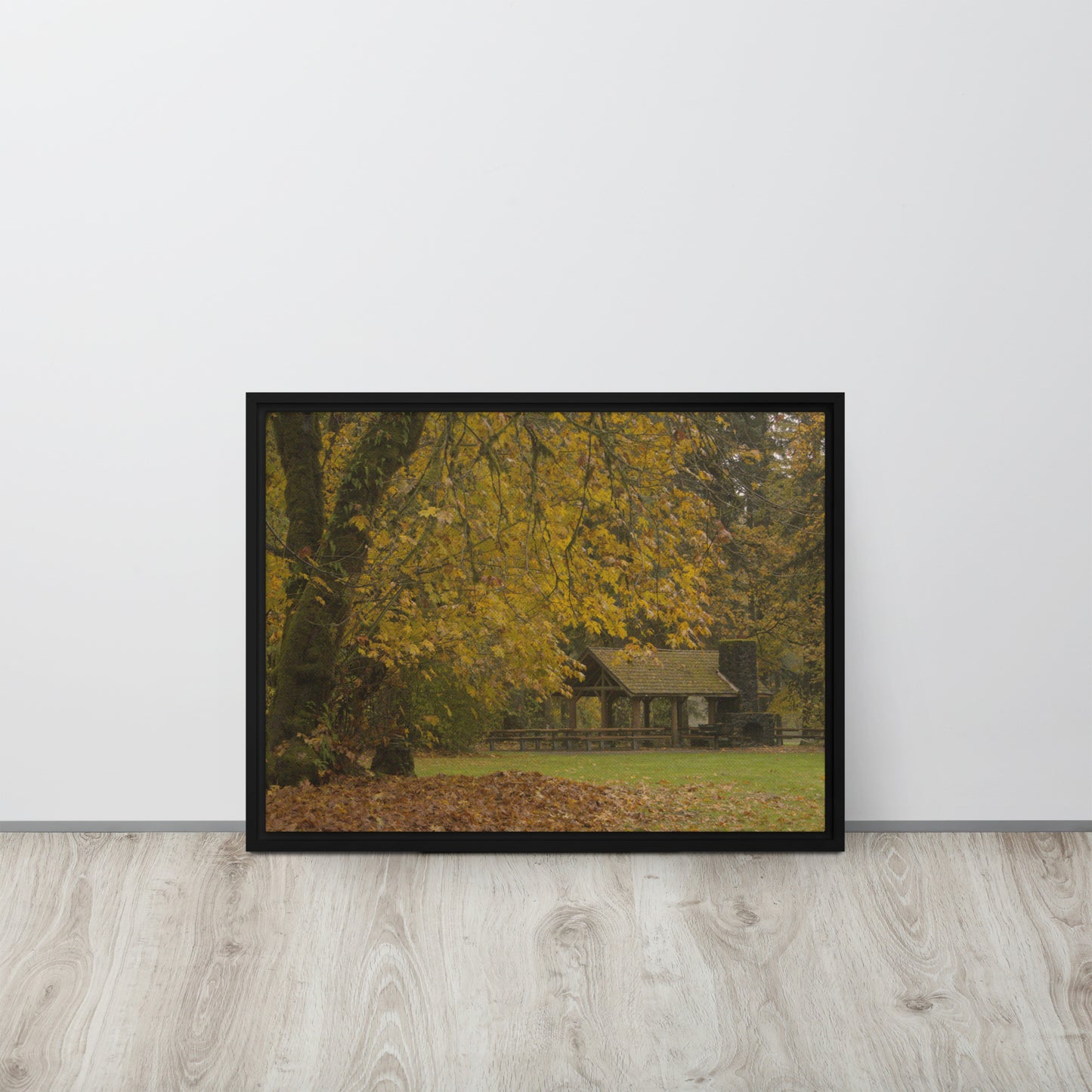 Autumn Maple