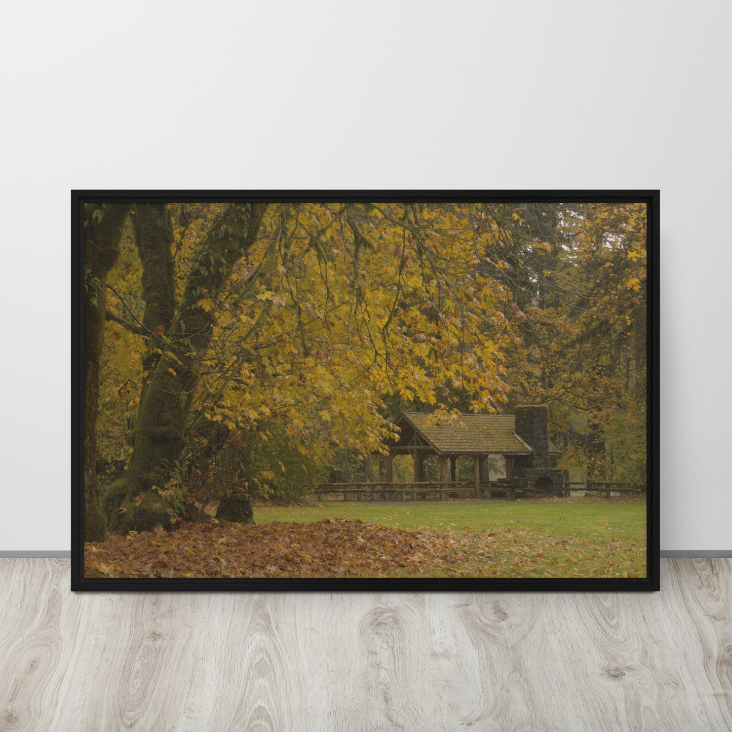 Autumn Maple
