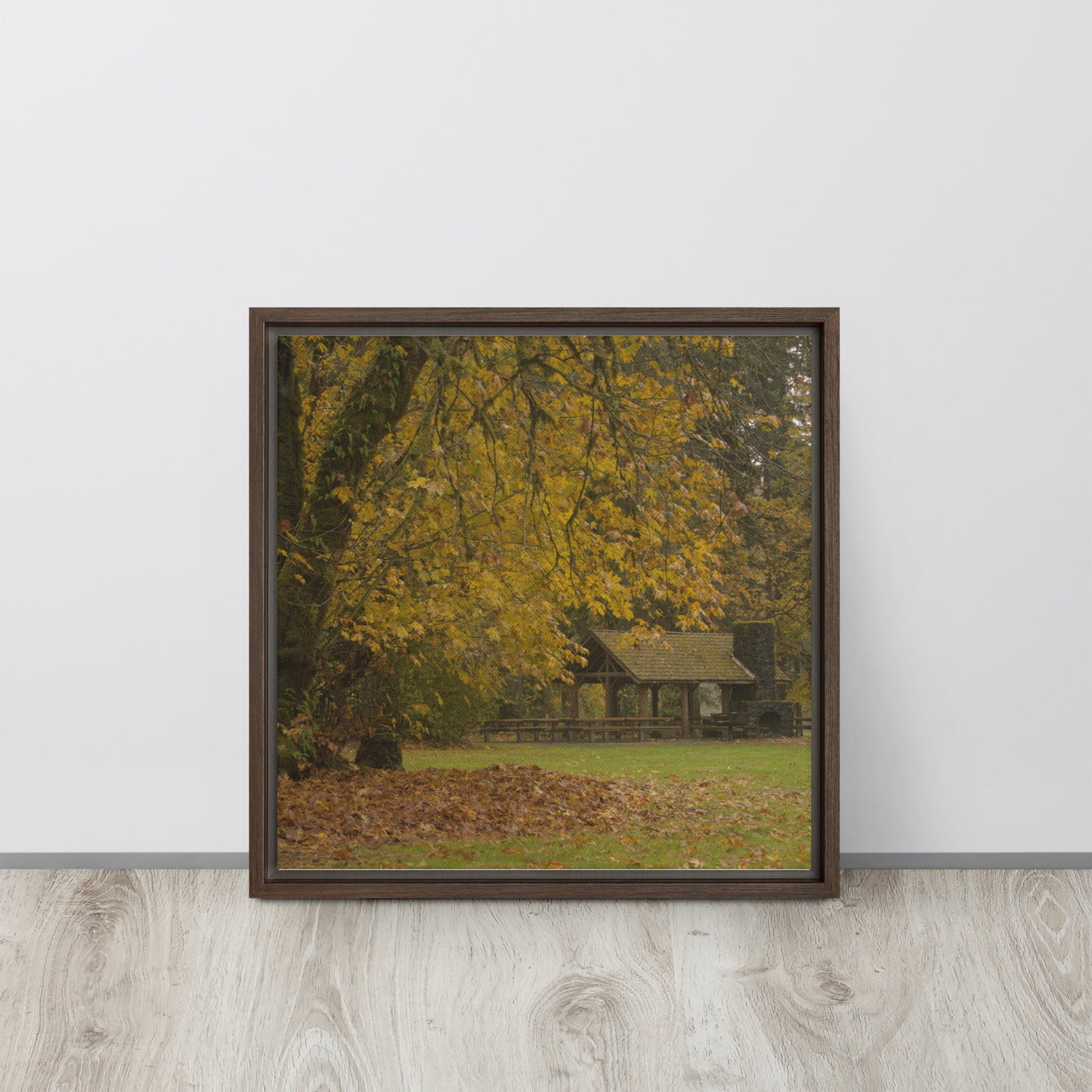 Autumn Maple