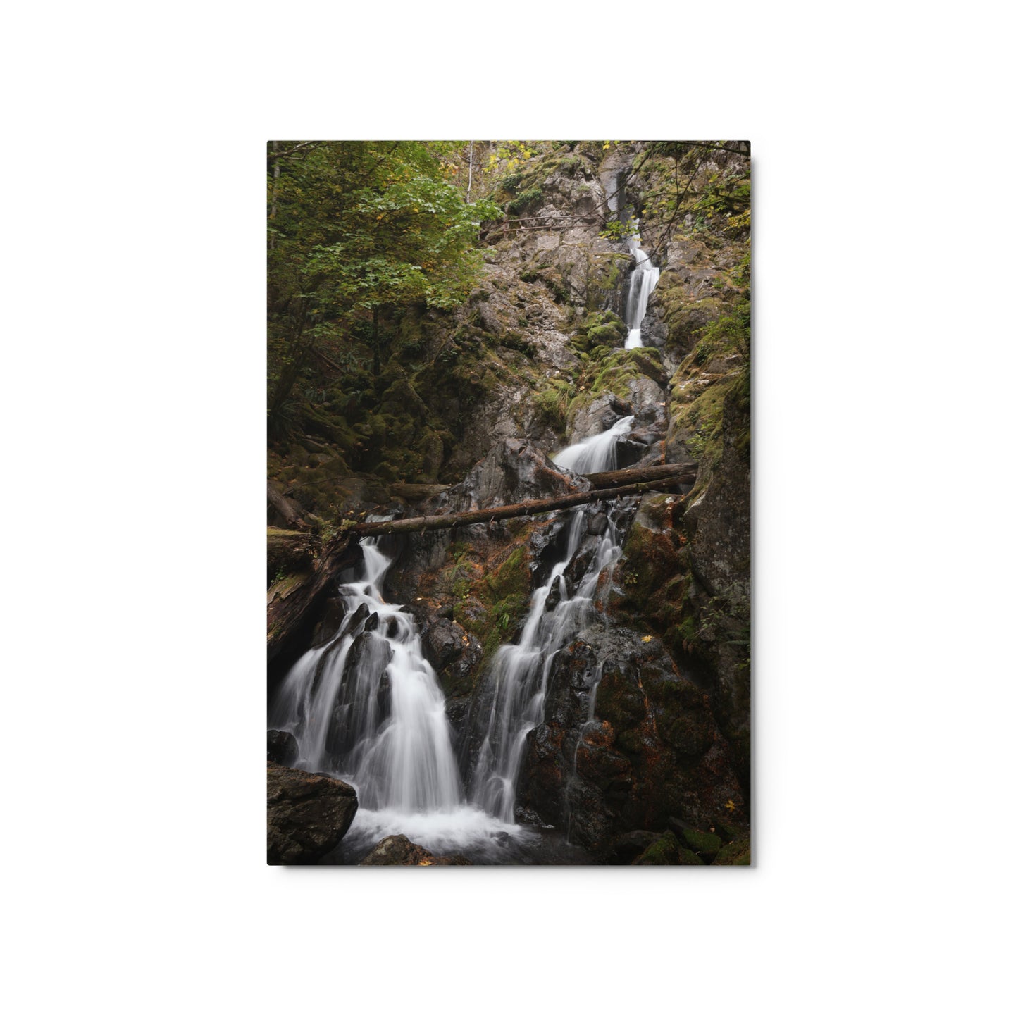 Flowing Falls