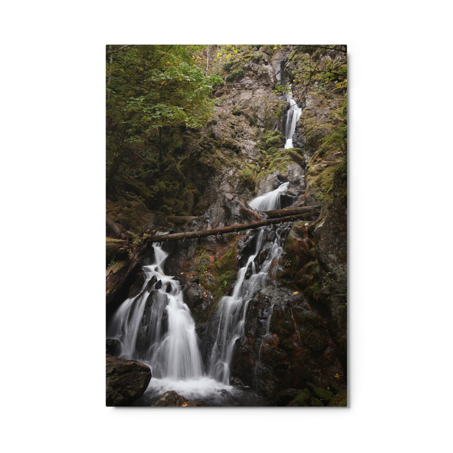 Flowing Falls